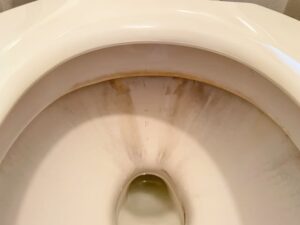 尿石など汚れが落ちない