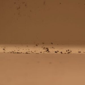 カビが気になる